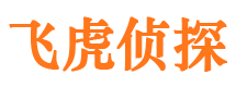 陇西侦探公司